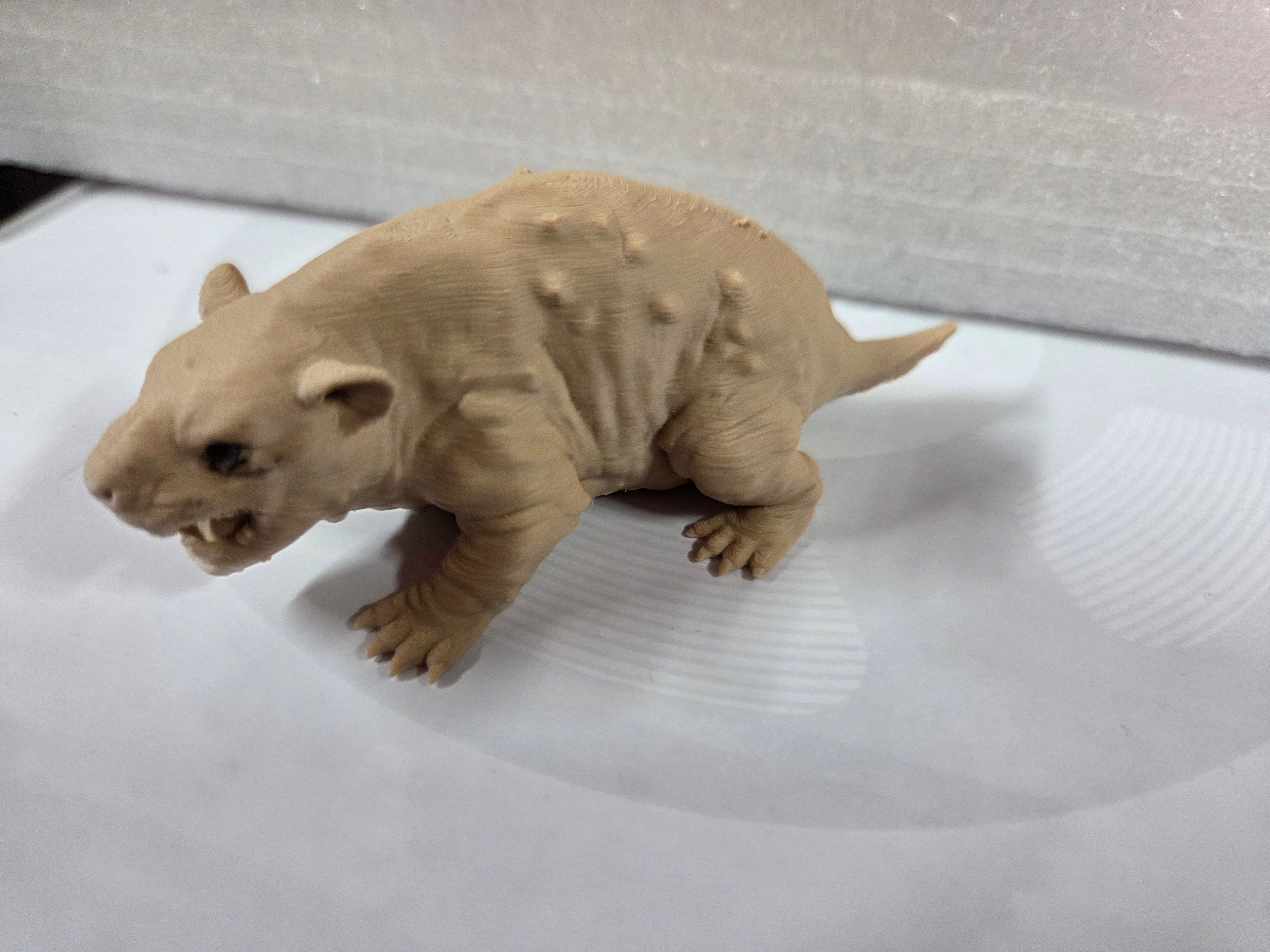 Vault 113 Pet Mole Rat - Clean Damaged Tail - 4in From head to tail