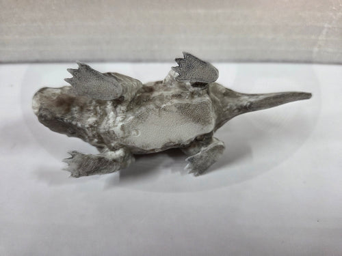 Vault 113 Pet Mole Rat - Albino dirty - 4in From head to tail